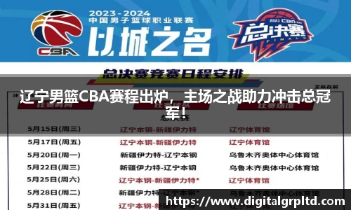 辽宁男篮CBA赛程出炉,主场之战助力冲击总冠军!