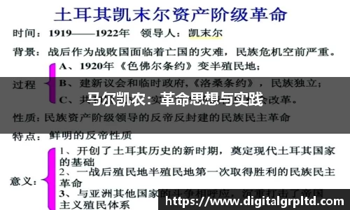 3377体育官网