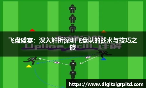 飞盘盛宴：深入解析深圳飞盘队的战术与技巧之旅