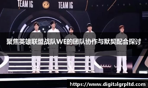 聚焦英雄联盟战队WE的团队协作与默契配合探讨