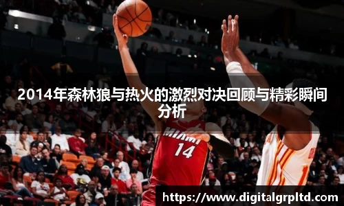 2014年森林狼与热火的激烈对决回顾与精彩瞬间分析