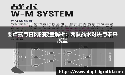 图卢兹与甘冈的较量解析：两队战术对决与未来展望