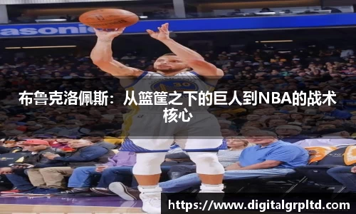 布鲁克洛佩斯：从篮筐之下的巨人到NBA的战术核心