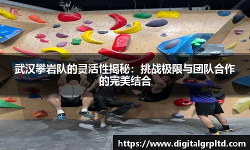 武汉攀岩队的灵活性揭秘：挑战极限与团队合作的完美结合
