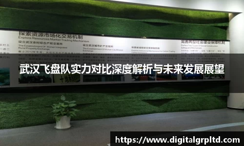 武汉飞盘队实力对比深度解析与未来发展展望